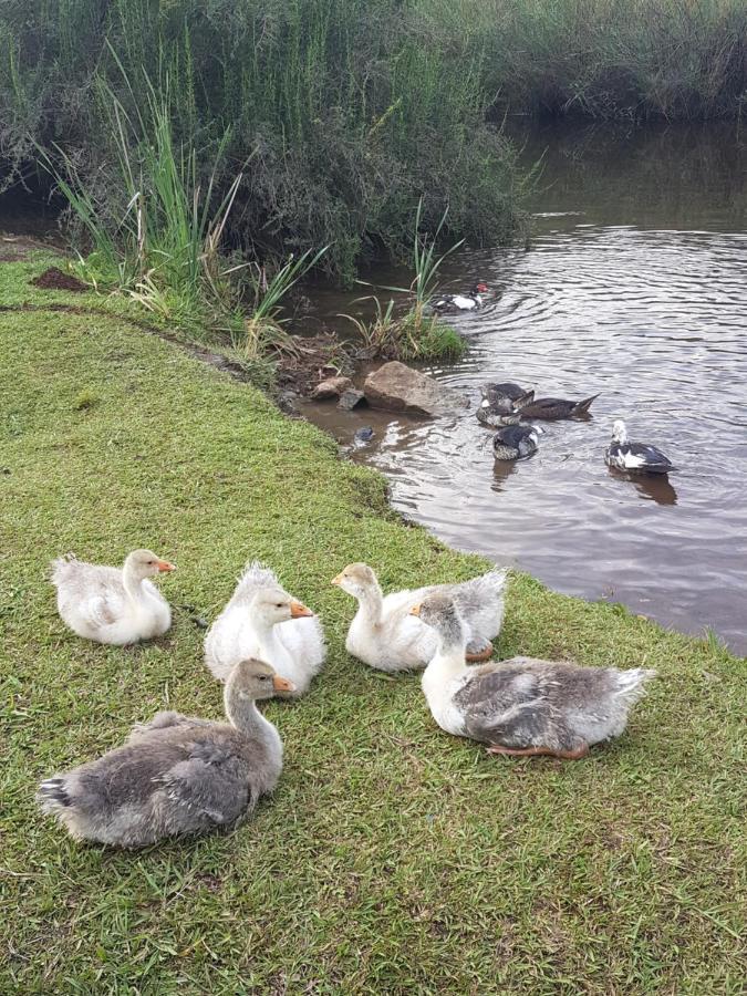 Thandamanzi Self Catering Sabie Bagian luar foto