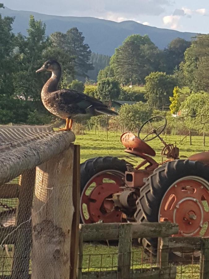 Thandamanzi Self Catering Sabie Bagian luar foto